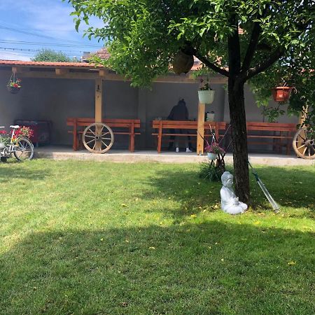Appartamento Casa Barza Orăştie Esterno foto